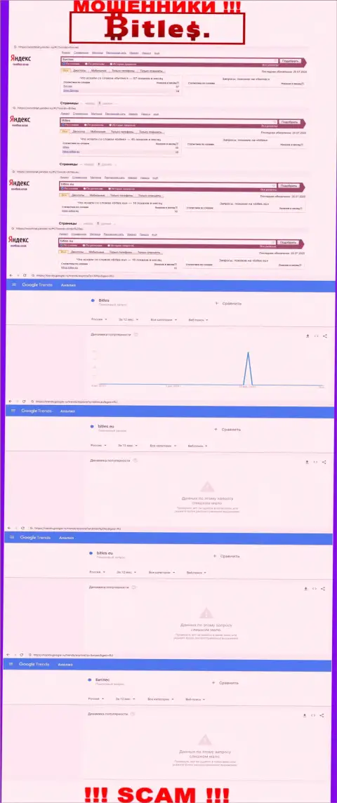 Статистические показатели бренда Битлес Лтд, какое число online-запросов у данной конторы