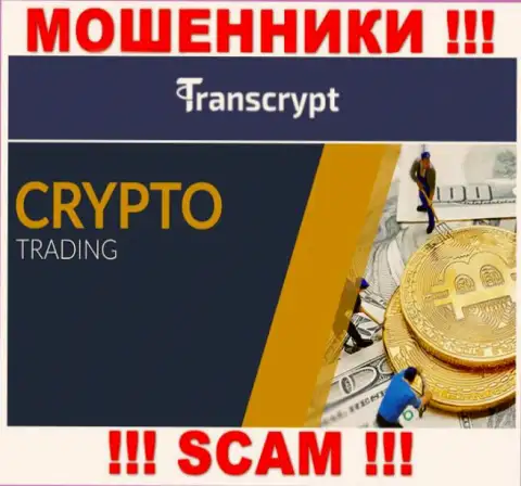 TransCrypt Eu - это мошенники !!! Направление деятельности которых - Крипто трейдинг