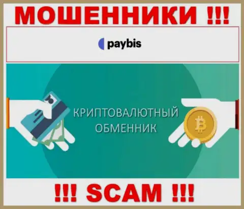 Крипто обменник - это тип деятельности преступно действующей конторы PayBis