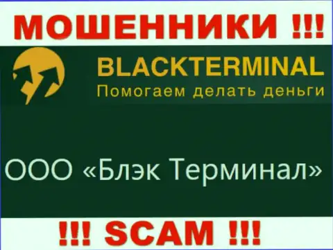 На официальном сайте BlackTerminal сообщается, что юридическое лицо компании - ООО Блэк Терминал