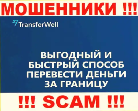 Не верьте, что деятельность Transfer Well в сфере Платежная система законна