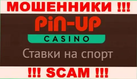 Основная деятельность Pin-Up Casino - это Казино, будьте очень осторожны, прокручивают делишки неправомерно