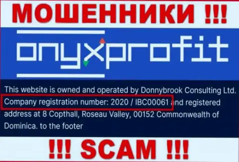 Номер регистрации, который принадлежит конторе Оникс Профит - 2020 / IBC00061