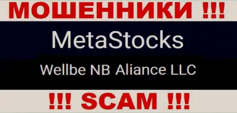 Юридическое лицо интернет мошенников MetaStocks - это Веллбе НБ Альянс ЛЛК