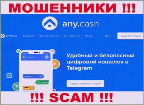 Работать с Any Cash опасно, потому что их сфера деятельности Крипто кошелёк - это лохотрон