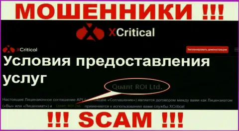 Жульническая контора XCritical Com принадлежит такой же опасной конторе Куант РОИ ЛТД