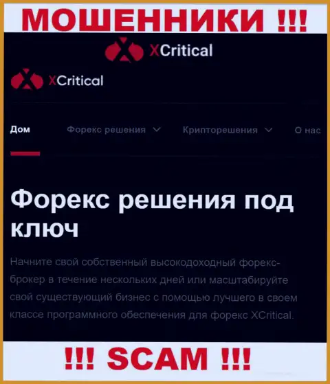 XCritical - это подозрительная компания, направление деятельности которой - FOREX