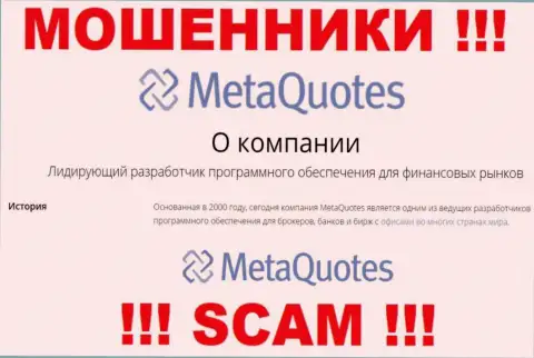 Разработка программного продукта - конкретно в этом направлении оказывают услуги ворюги МетаКвотес Нет