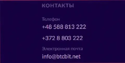 Телефоны и электронный адрес обменки BTC Bit