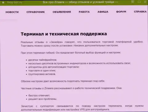 Обзор возможностей официального сайта биржевой организации Zinnera в статье на информационном ресурсе Tvoy-Bor Ru