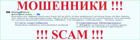 Кинг Фин - это МОШЕННИКИ !!! SCAM !!!