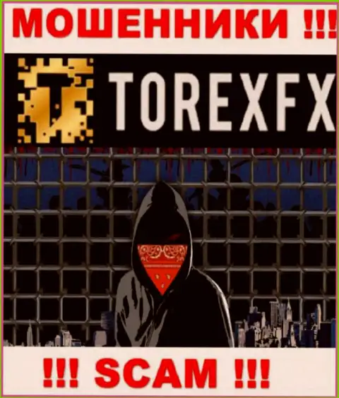 TorexFX не разглашают инфу о Администрации компании