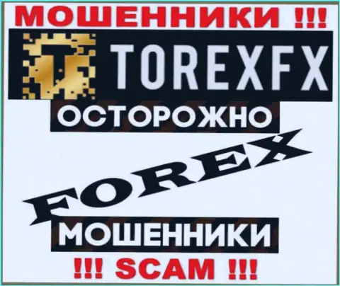 Область деятельности Torex FX: Форекс - хороший доход для internet-мошенников