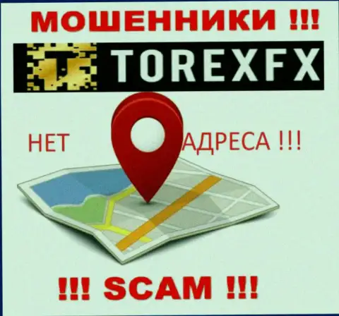 Torex FX не указали свое местоположение, на их онлайн-сервисе нет инфы о официальном адресе регистрации